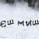 Єш миш 🐭🦅🇺🇦🍉