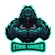 ETHIO GAMERS