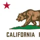 🇮🇳 California State University