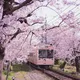 🇯🇵ජපන් භාශාව🇯🇵