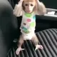 бибизян | NFT