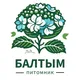 Саженцы: Гортензия, Кизильник, Пузыреплодник, Спирея. Плодовка. Хвойные. Свердловская область, п. Балтым, ул. Животноводов 2/7