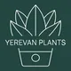 Цветочный Ереван 🪴 Yerevan Plants
