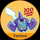 100% - RotoMap Torino (Test)