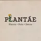 PLANTAE