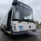 📸#100дней320го_чг 🚶‍♀‍➡️🚶‍➡️🚶‍♂‍➡️👨‍🦽‍➡️👬🚌