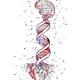 Biology_12