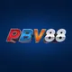 PBV88 Việt Nam 🇻🇳