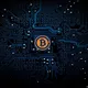 Signals & Copytrading BingX Binance 📊