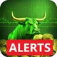 Realtime Stock Screener(Help Chat)