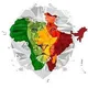 India 🇮🇳 Africa Friendship 💐🌷🌹🥀🌺🌸🌼🌻