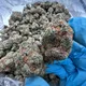 Budapest Farmers Bud's