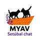 MYAV Setúbal chat