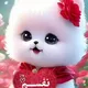 تبلیغات کار و خدمات بانوان مشهد و فریمان