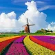 🇳🇱جامعه فارسی زبان های هلند🇳🇱