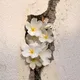 صبر