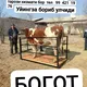Богот мол тарозу