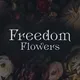 FREEDOM FLOWERS. Цветы оптом СПБ