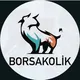 BORSAKOLİK