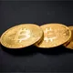 Deep Dive Crypto: Insights & Market Pulse