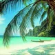 ЧИАНГМАЙ ЧАТ 🇹🇭 ТАЙЛАНД ОБЩЕНИЕ, ПОМОЩЬ, ОБЪЯВЛЕНИЯ
