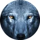 POWER Wolfpack Team