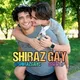 همجنسگرایان شیراز ( گی )