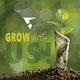 CAPITAL GROUP