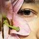 Eyes of Wilwatikta. 👁