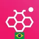 Honista Chat Portuguese