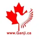 🇨🇦موسسه مهاجرتی گنجی کانادا🇨🇦