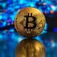 UNIVERSAL ACORNS INVESTMENT LTD