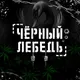 Чёрный лебедь Даугавпилс