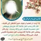 مكتبة الكتب