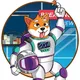 ShibbyVerse News & Announcements
