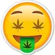 FLORES EN PALERMO 💐 NOTA SEGURA / WEED