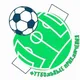 Футбольные приключения: детский спорт в фокусе