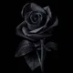 Random gc ~ USA INDONESIA MALAYSIA CAMBODIA INDIA RUSSIA UKRAINE AFRICA AUSTRALIA