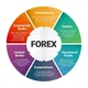 FOREX TRADE PROFESSIONAL (free signals)
