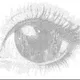 $SYDNEY PORTAL