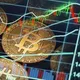 【895】Cryptocurrency operations group