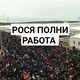 Расия хама шахардаги иш елонлари гурпаси