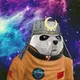 GALAXY PANDA - Indonesia