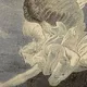 ||Пристанище Евы Галлер||