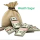 Wealth Sagar ( Future & Options Commodities Calls )