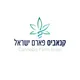 קבוצה חדשה
