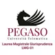 Laurea Magistrale Pegaso a ciclo unico in Giurisprudenza - LMG-01 Gruppo di studio