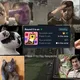 Life In GM CryPTo