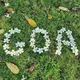 GOA | Экскурсии в Гоа и по Индии | INDIA