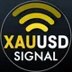 💯XAUUSD SIGNALS💯